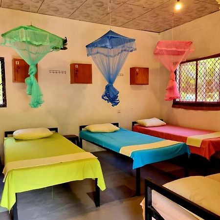 Helena Hostel Dikwella Dış mekan fotoğraf