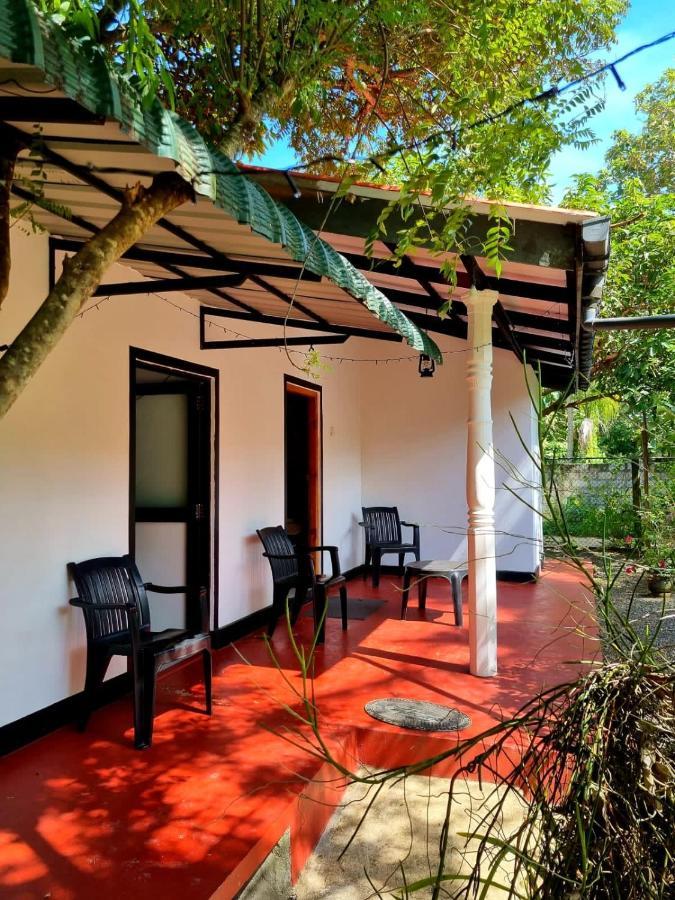 Helena Hostel Dikwella Dış mekan fotoğraf