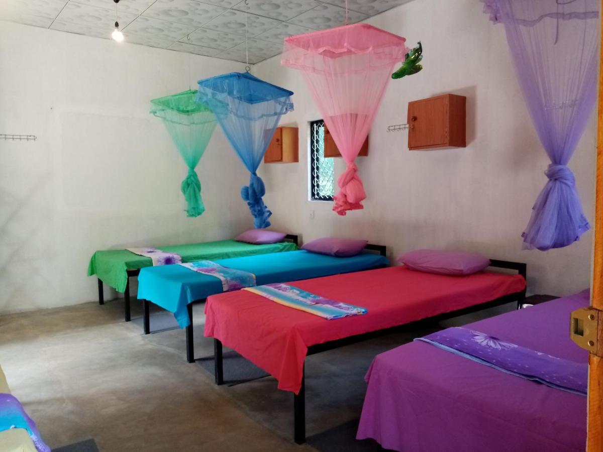 Helena Hostel Dikwella Dış mekan fotoğraf